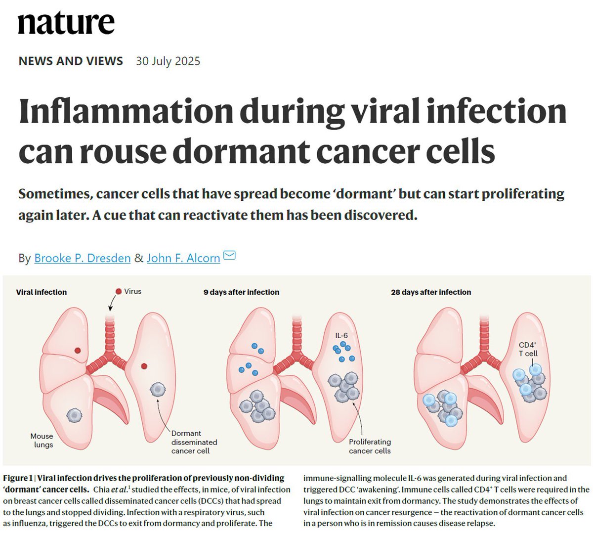 covid is oncogenic, cancer causing.