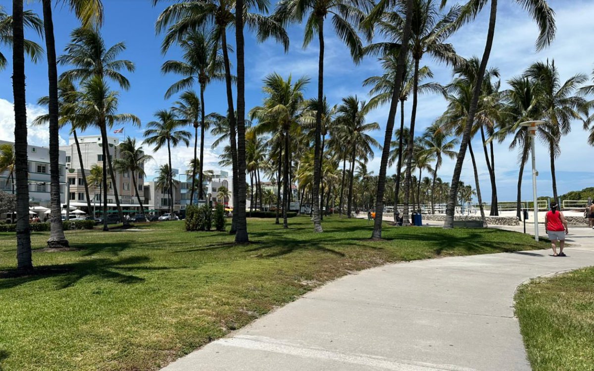 Claire2354svn0's tweet image. 