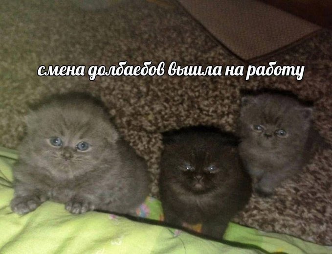 Ой две одинаковых картинки скинула