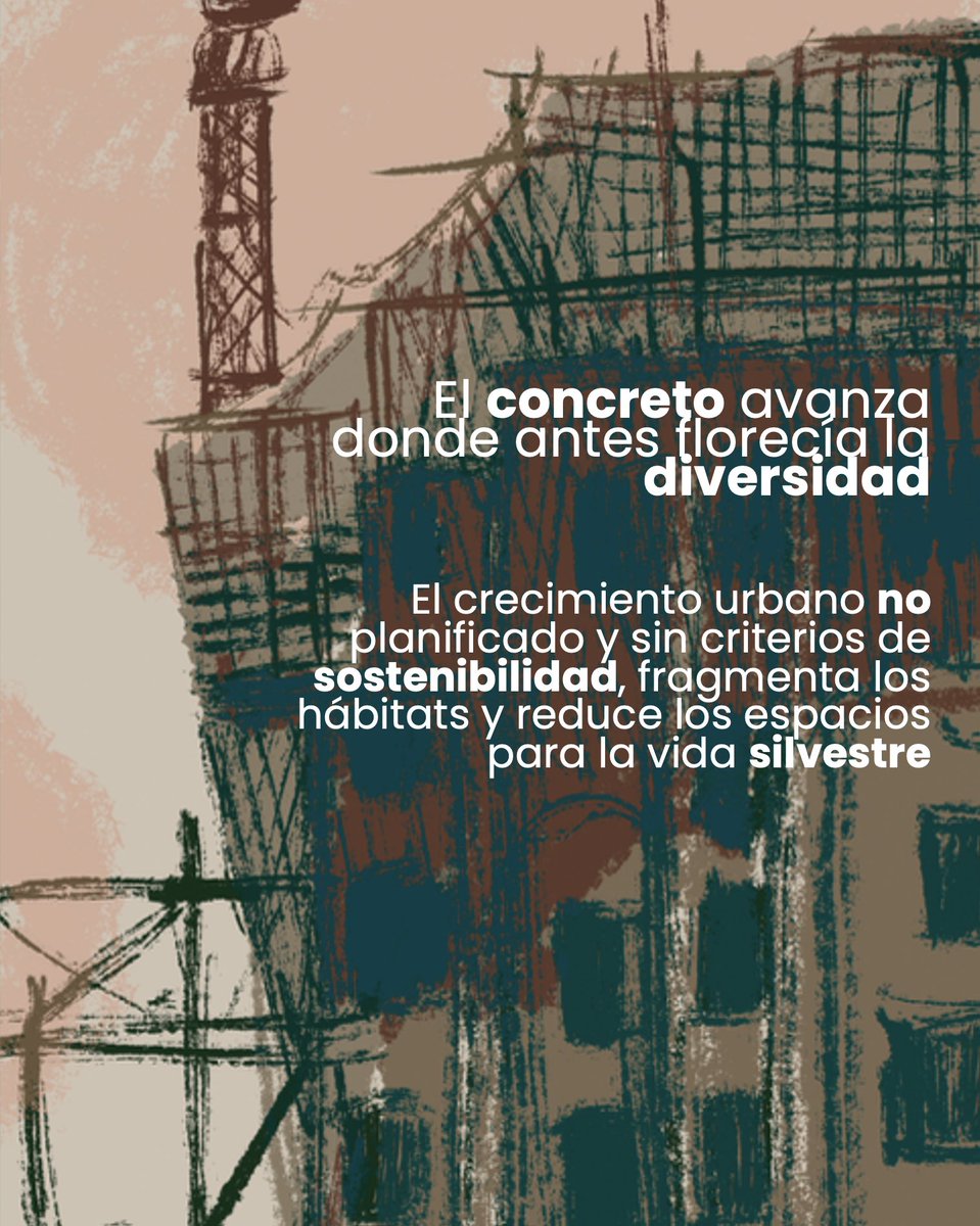JBGP_Cartagena's tweet photo. https://t.co/yrfp3kqXxn