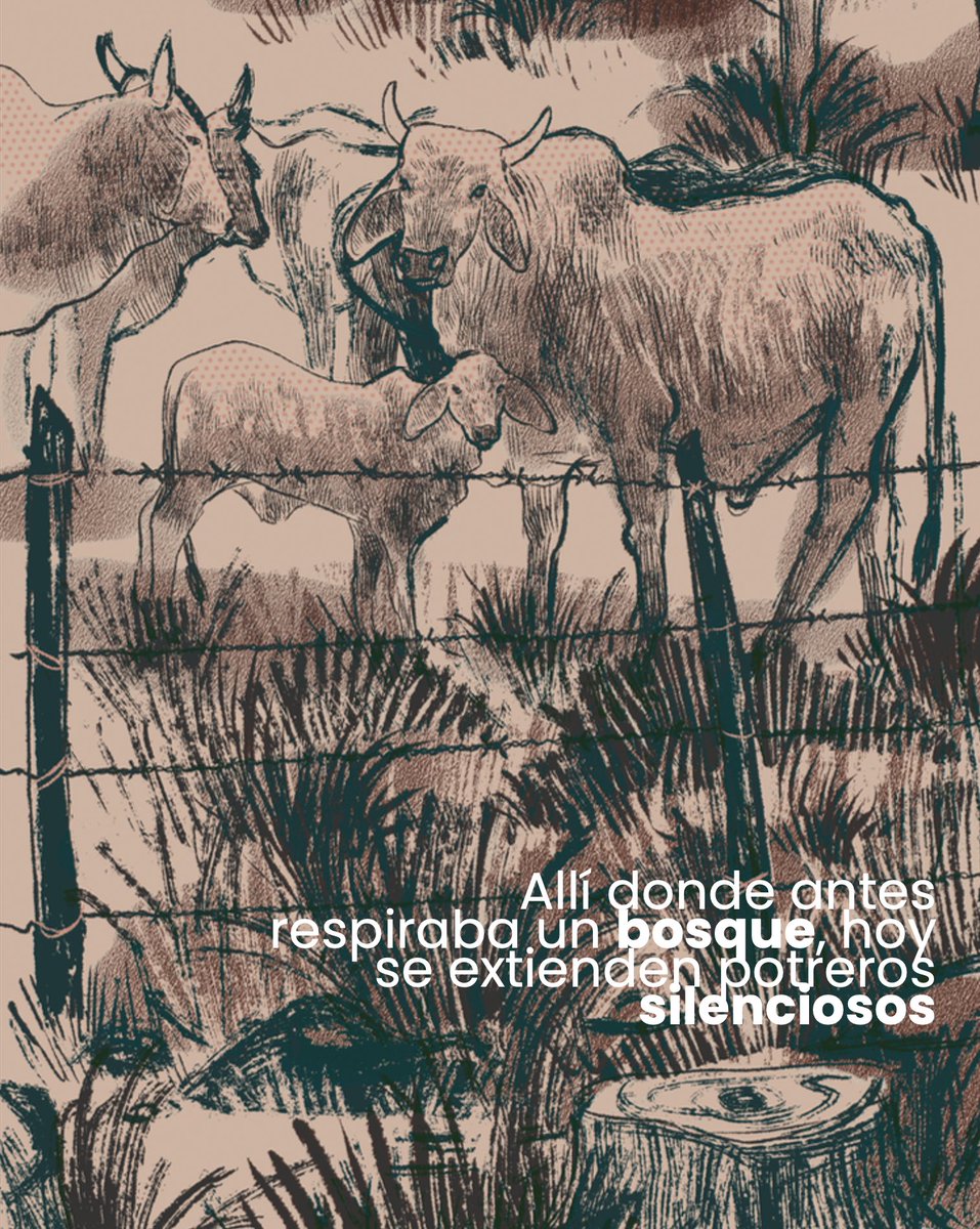 Jardín Botánico de Cartagena (@jbgp_cartagena) on Twitter photo 