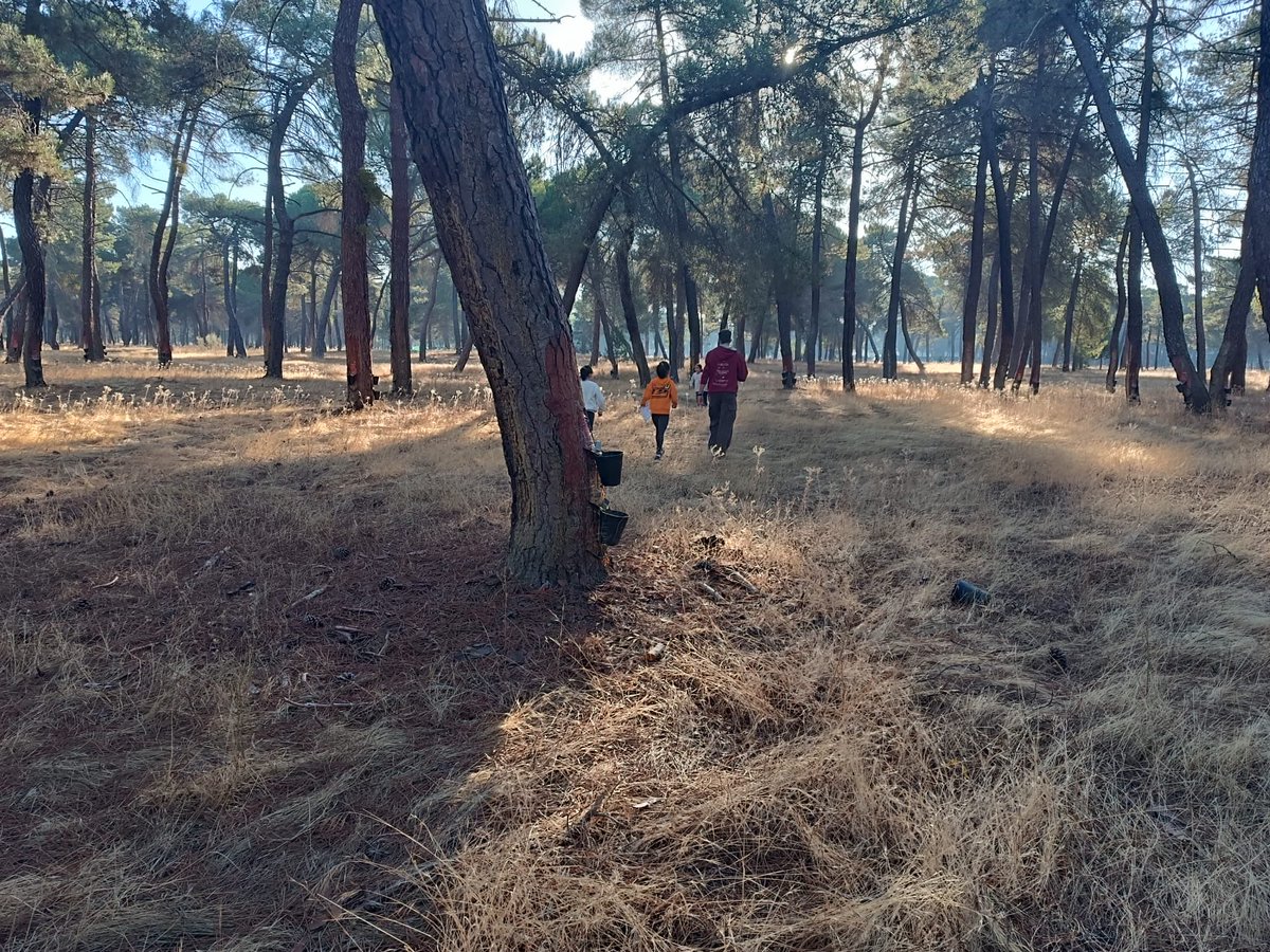 🌍✨ Gracias a tener el Sello Sostenible, el alumnado de 3º ha disfrutado hoy de un taller de medioambiente de la <a href="/jcyl/">Junta de Castilla y León</a> .
Han aprendido sobre biodiversidad 🐝🌿 y han buscado animales y plantas.

#SelloSostenible #EducaciónAmbiental #VSVidaSana #CuidarmeParaCuidarte #Conexiones