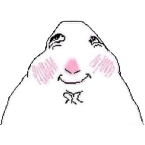 also goodmorning