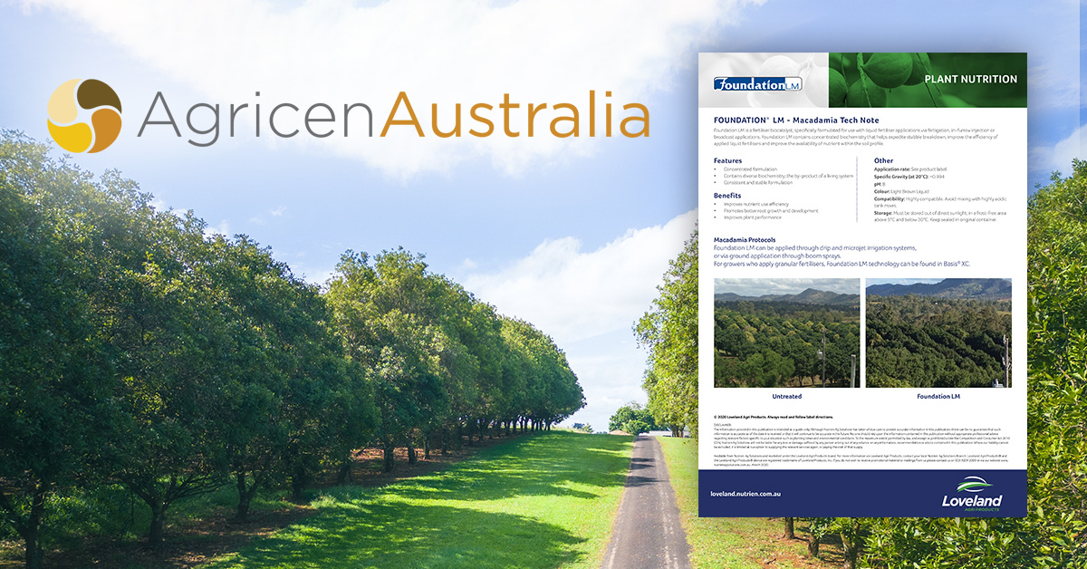Foundation™ LM is a fertiliser biocatalyst specifically formulated for use with liquid fertiliser applications.

Download the study to see how Foundation LM can improve macadamia tree health &amp; performance. hubs.la/Q03N4_h30

#FoundationLM #macadamia #fertiliserbiocatalyst