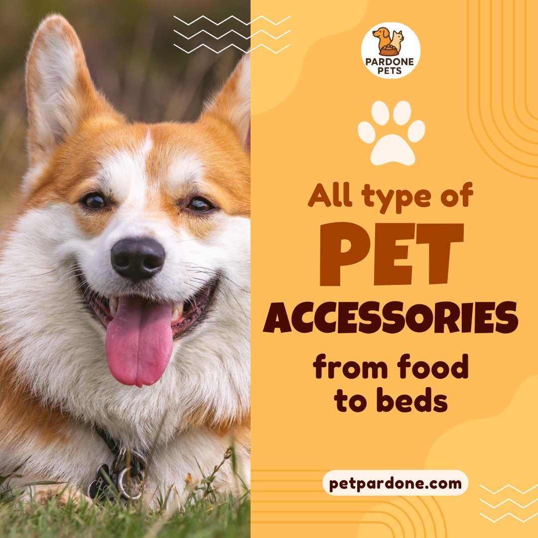 PardonePets's tweet image. They fill your life with love, pamper them with the best! 💕 From food to toys, find everything at PetPardone.com 🛒

#PetPardone #PamperYourPets #HappyPets #PetCare #PetEssentials #LoveYourPet #DogsofX #CatsOfX