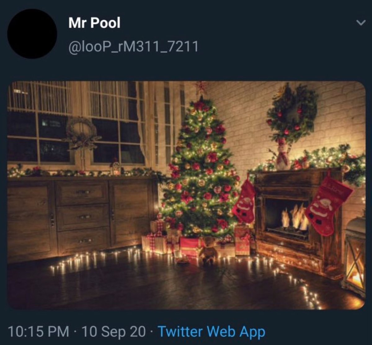 Stevie 🔮 $XRP tweet media