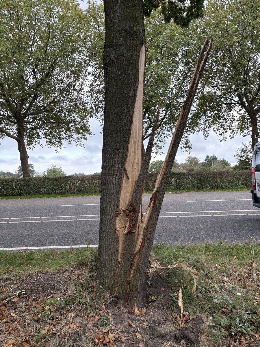 Harry Suilen tweet media