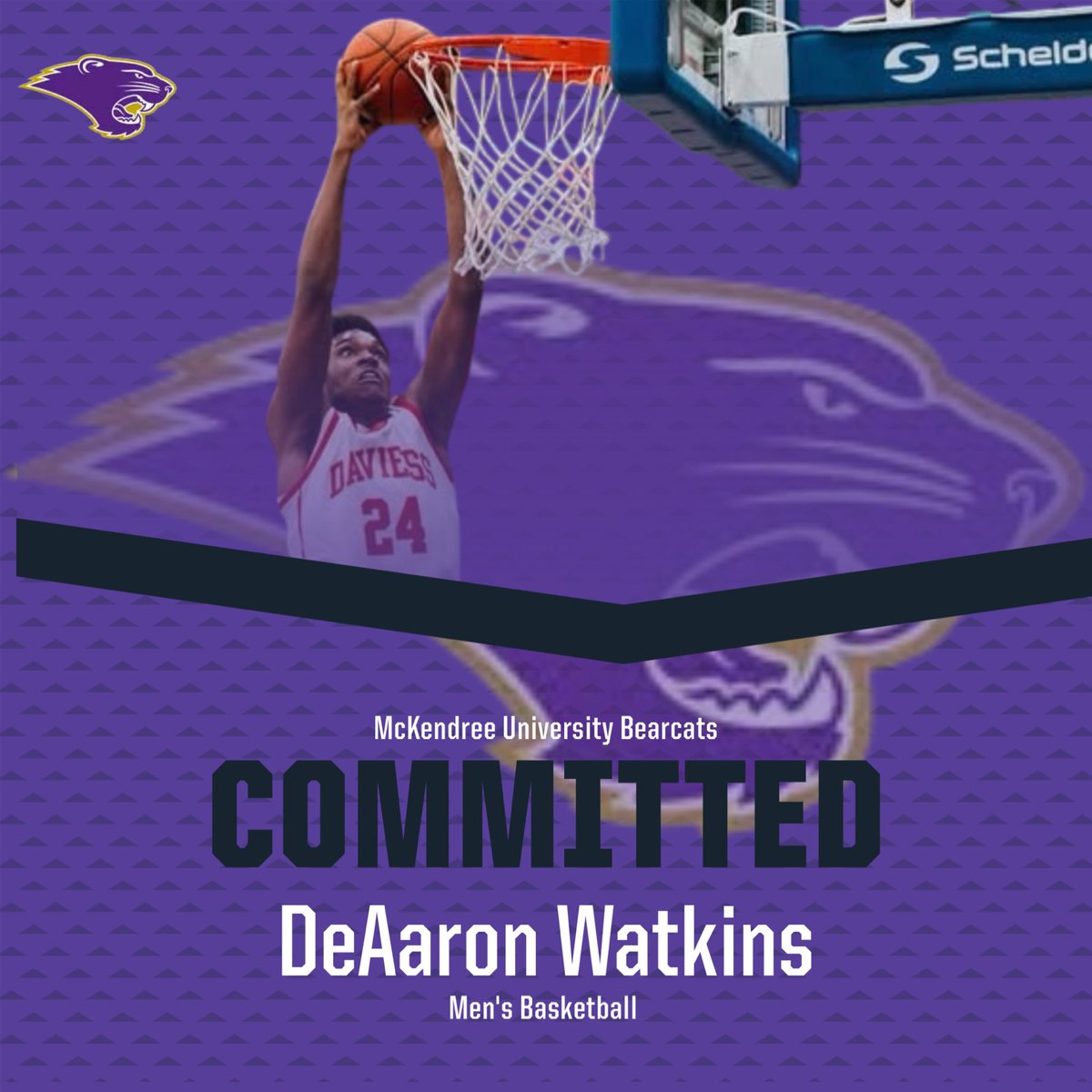 committed ‼️ 100%