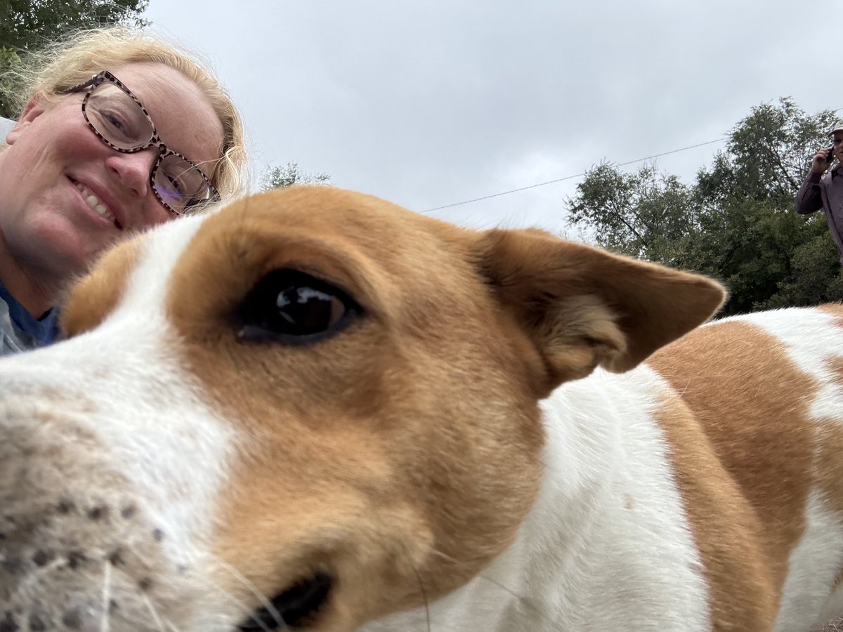 soilsdiva tweet media