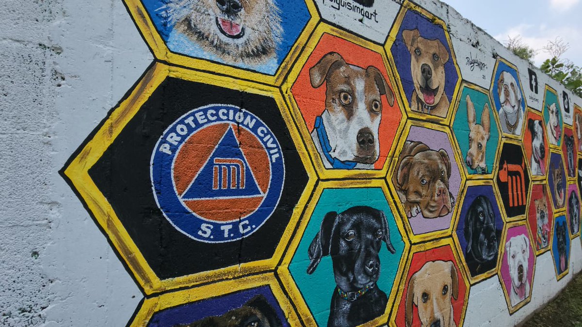 MetroCDMX's tweet photo. Sigue la cuenta oficial del #CTCMetro,@ctcdelmetro, para mantenerte informado de los perritos rescatados dentro de las instalaciones del Metro, los requisitos de adopción y los datos para realizar donaciones; nuestros peludos te lo agradecerán mucho. #AdoptaNoCompres #AUnMetroDeSuHogar 🐶🏡🐾