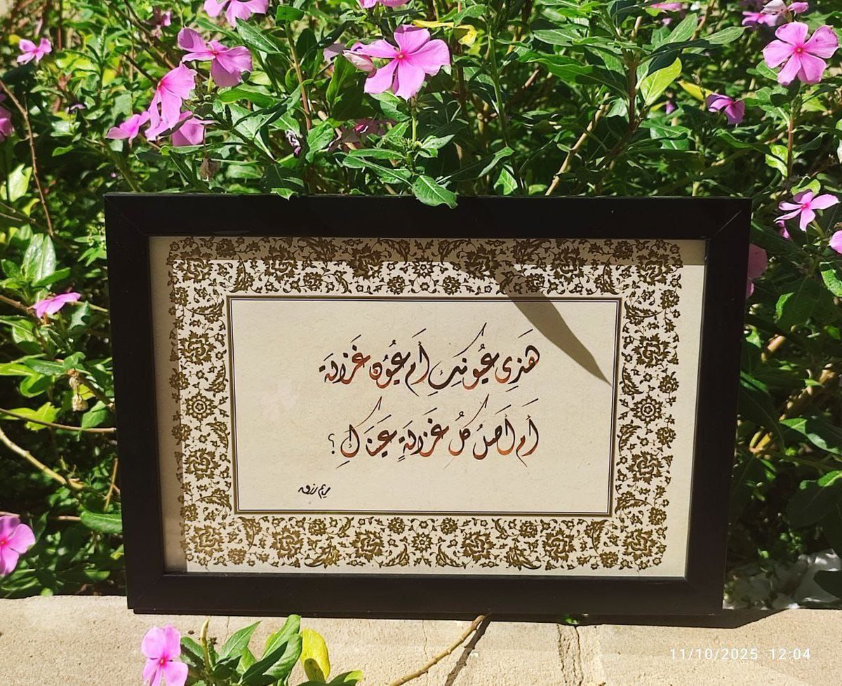 هذي عيونكِ أم عيون غزالةٍ
أم أصلُ كل غزالةٍ عيناكِ..؟

— يوسف الدموكي.