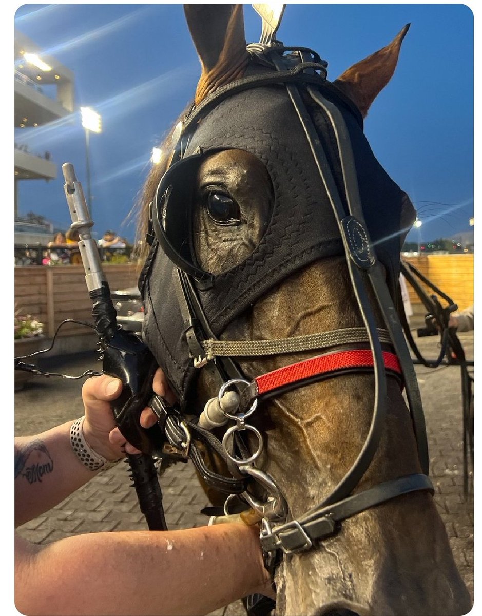 Breeders Crown entry box closes with 166 entrants for 2025 championship 
A total of 166 of horses entered Tuesday for the $7,639,500 million (USD) Breeders Crown at Woodbine Mohawk Park. Eliminations will be required for 9 of the 12 Breeders Crown events. 
facebook.com/share/1MCWkLgb…