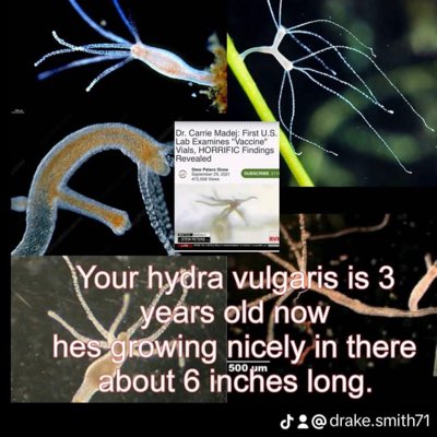 AIdefencerep's tweet photo. #NewProfilePic https://t.co/ZTyLyR1oRY