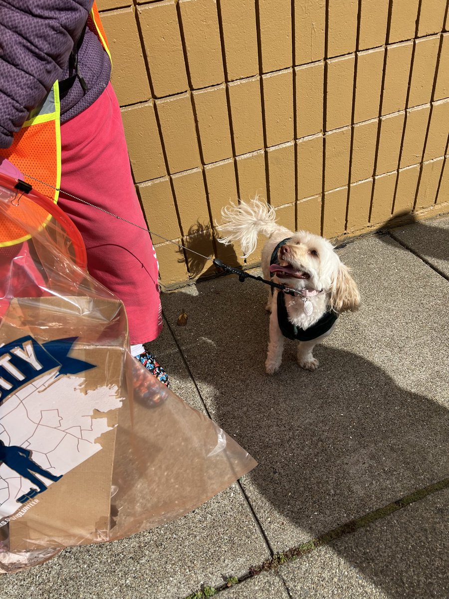 RefuseRefuseSF's tweet image. Helped kick off the new cleanup & walking club with residents and staff of Human Good, a non-profit that manages several low-income senior residences in the Fillmore neighborhood.
They’re now all geared up with the cleaning tools and will be going out 2x a month to clean!
