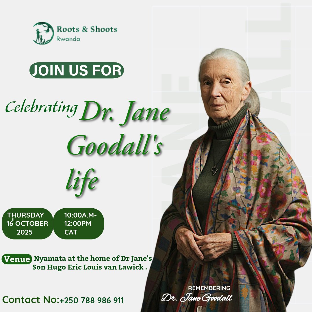 Join us in celebrating the incredible life and legacy of Dr.Jane Goodall, a true champion of hope, compassion, and change for our planet 🌎💚
Her journey reminds us that every small action can make a big difference 💪.
#RootsandShootsRwanda
#JaneGoodall
#HopeForNature