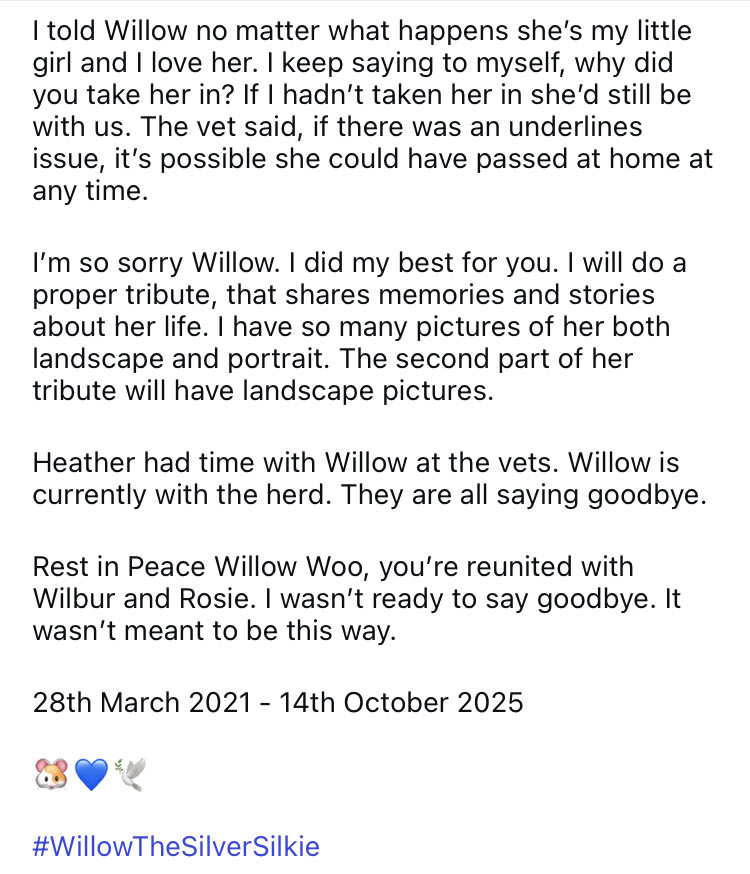 🇬🇧🐹🌿Chestnut Lodge 🌿🐹🇺🇦 tweet media