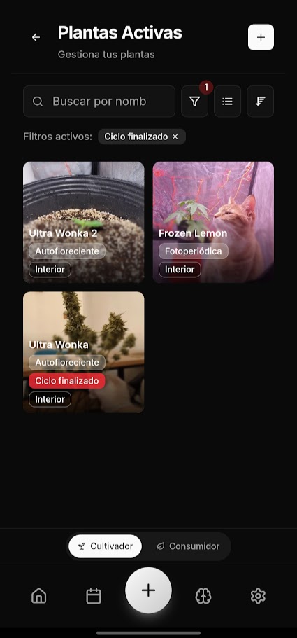 nachthelad's tweet photo. Algunas imagenes de https://t.co/D6YVwVq02D 

#cultivo #cannabisculture #cannabis https://t.co/XdNWKmXBIO