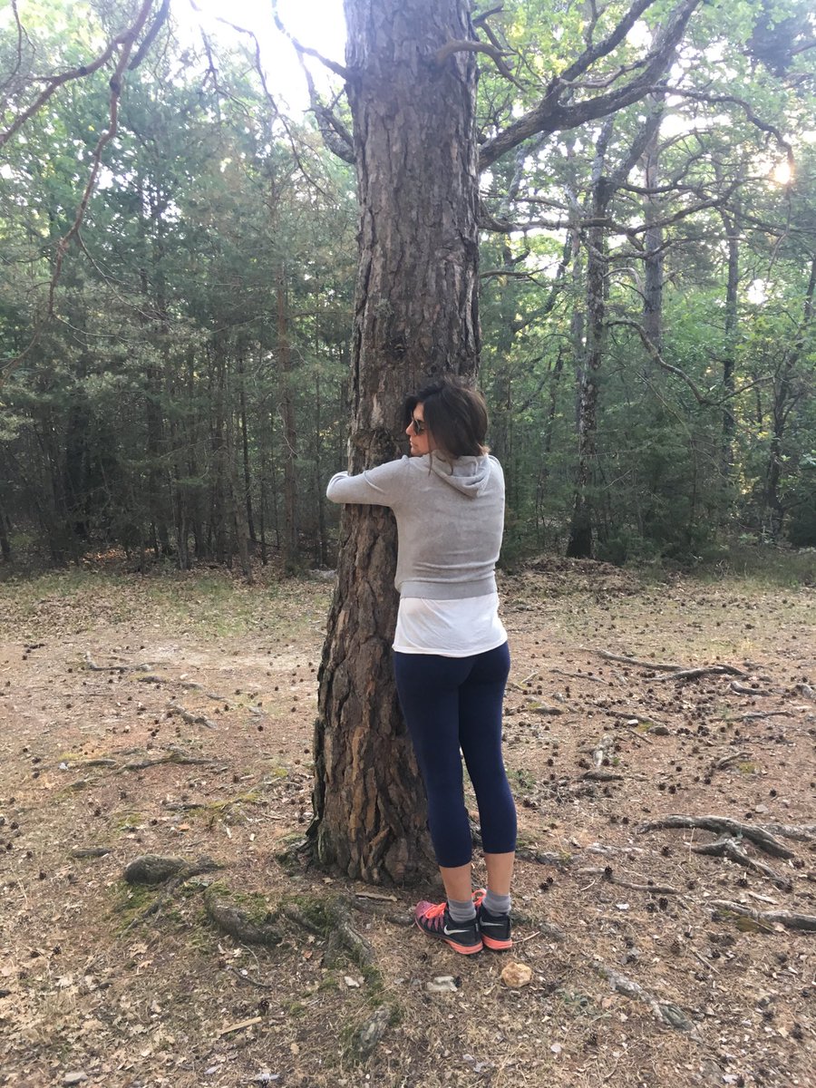 ConsistencyCode's tweet image. A reminder to seek out nature to recharge.