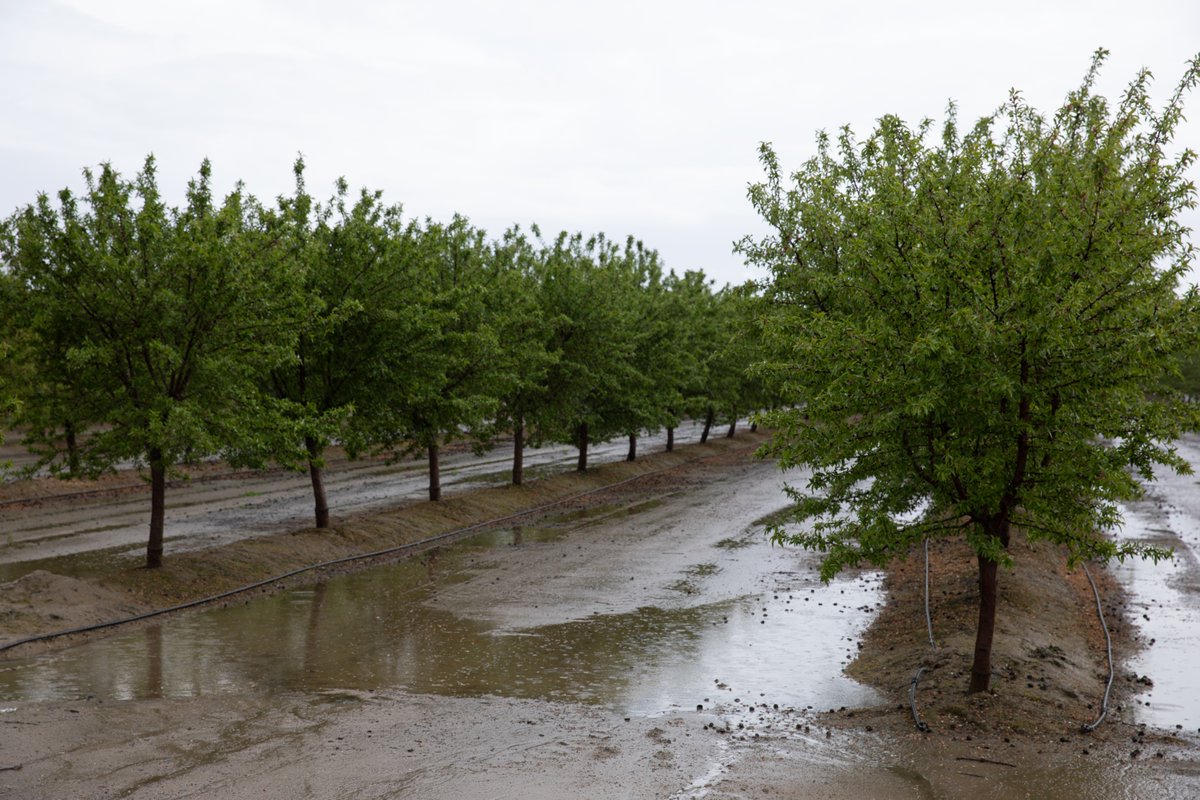 Rather than ask how much rain did you get, try asking, how much rain did you keep? Water infiltration issues can be solved. We'll show you.