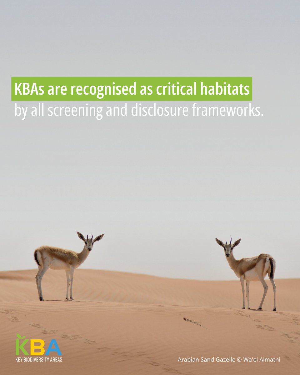 Businesses play a key role in protecting nature🌿

Companies are increasingly using #KBAs to guide their actions to reduce their impact on nature. Thanks to IBAT, companies are working smarter to protect the places wildlife depends on.

🔗ibat-alliance.org