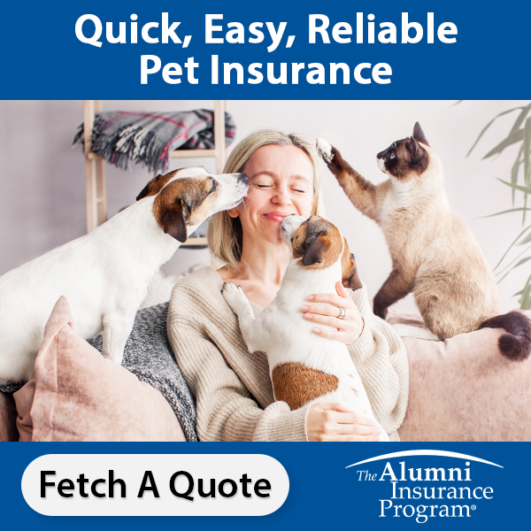 Prioritize the health of your furry family members with K-State Alumni Insurance Program! MetLife Pet Insurance offers expansive coverage and innovative product features to help keep your pets healthy. Visit alumniinsuranceprogram.com/pet to learn more!