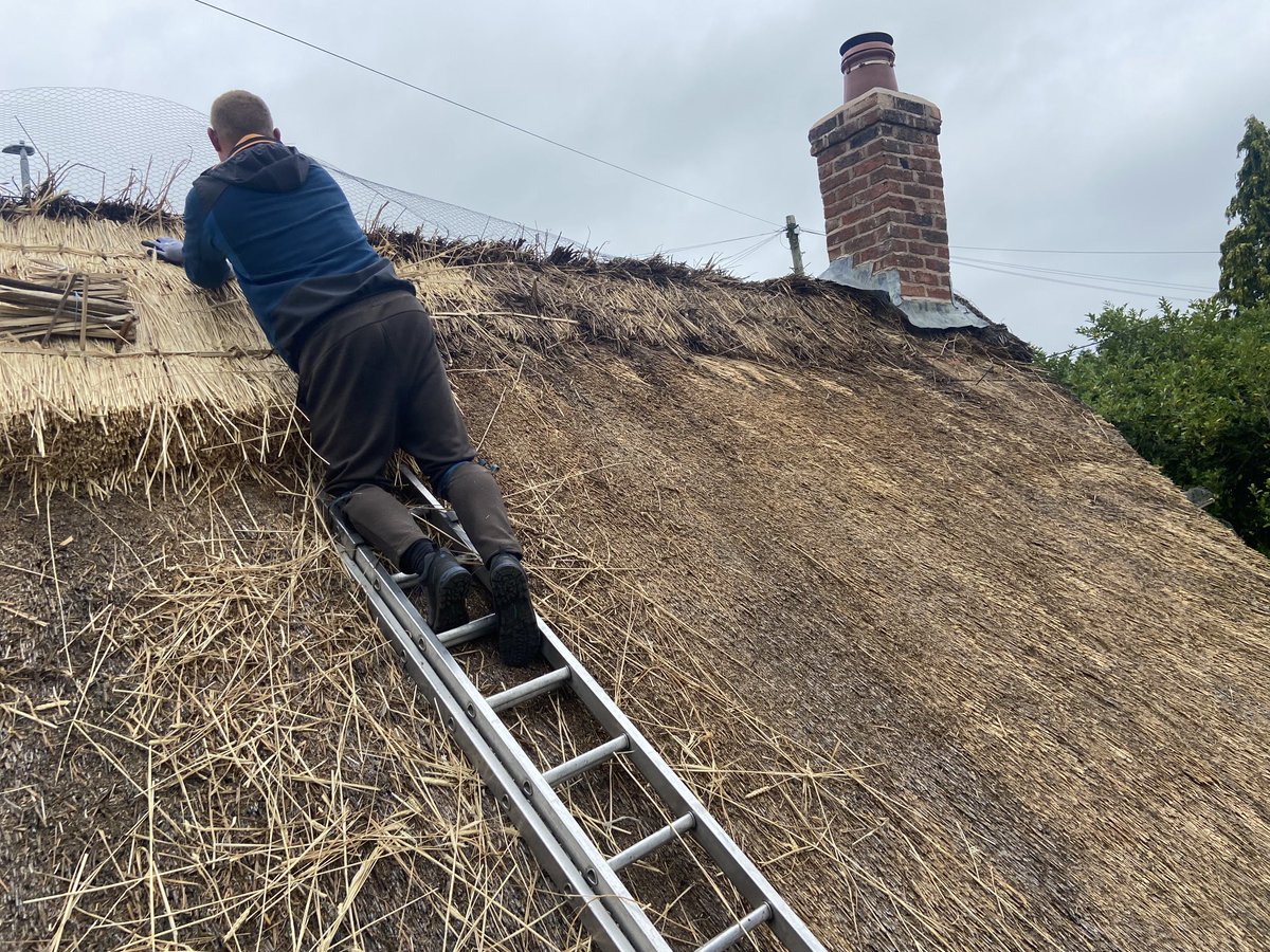 masterthatcher2's tweet image. Michal has removed the old worn ridge capping on our job in #Wilmslow and is fixing straw which will be the foundation of the new ridge.#Thatching.