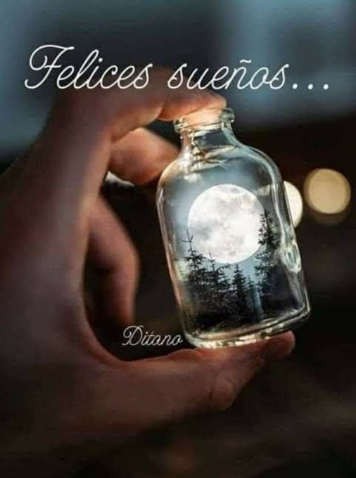 A hand holds a transparent glass bottle containing a glowing full moon and a small pine tree forest inside, set against a soft blurred night background with warm light spots. The bottle is clear with a cork top. Text Felizess suenos appears in elegant script at the top, and Ditano is signed in cursive at the bottom.