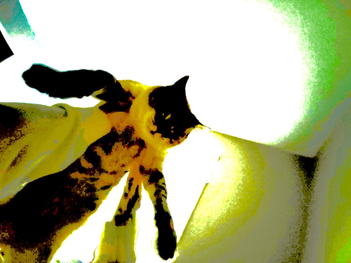 1̷̛͇͖͖͈̞̩̎̎͆͛̆͗7̶̬͉͇́̄́̕k̵̹͔̱̈́̀ͅ ̴̘̗͙̐͋h̴͇̣̺̼͎̙͚̐̔́̎̀͝e̵͕͛̂͑̿̓̕r̷̡̞̬̦̣̫̮͋̉̅̋͐̋͝ḃ̶͚̀͐̇i̷̜̓͆̊b̷̨̻͔͗͌̀̑͝ͅȏ̶̧̢̤̘͔̟̙͆̾̃͗a̸̡̗͚̘̗͇̘͆̀̽̋̚r̴͖̂̑̆̄̓͝…̵̫̦̣̫̐̃̉͝͝.̴̩̱̒̎̈́̍͜͠͝͝    ttv / emilycupholda