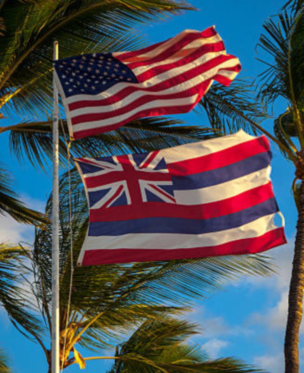 VivianGummi's tweet photo. OC and their nationality! 🤙🌺 https://t.co/whJax31z8r