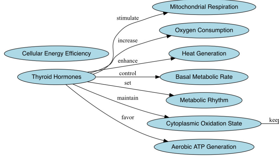 aihtheory's tweet image. All leads to better energetic state and cellular oxidation state, stimulating CO2 production, preventing lactic acid formation …