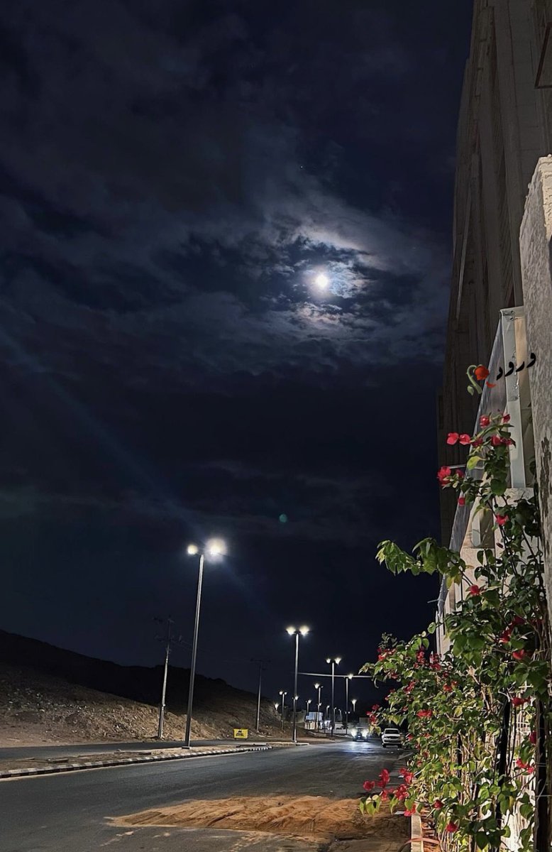 وروود🥀🌕🇸🇦💚اهلاوية ملكية👑💚 tweet media