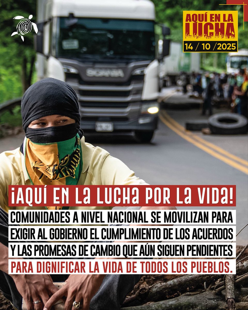 Human Conet tweet media