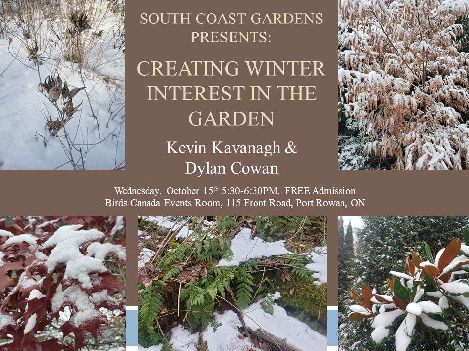 Volunteer4Birds's tweet photo. Last Chance to sign up for tomorrow's Birds Canada Event in #PortRowan, #NorfolkCounty #Ontario
Wednesday, October 15 2025 from 5:30 to 6:30 PM EST
Creating Winter Interest in the Garden https://t.co/w0FaGTHGOP
#Birds #Migration #Homegrown #Backyard #Habitat https://t.co/oziiEGaDL5