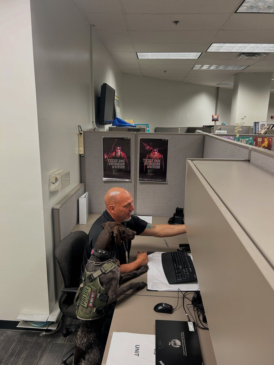 When your K9 partner insists on reviewing the report before you hit send 🐾💻
K9 Alyssa and Officer Pillado, the ultimate school safety (and proofreading) duo!
#K9Unit #SchoolSafety #BCPSProud #PartnersWithPaws #bcps