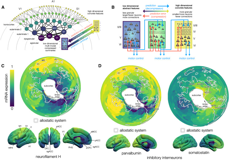 Online now:  It’s not the thought that counts: Allostasis at the core of brain function dlvr.it/TNgc2v