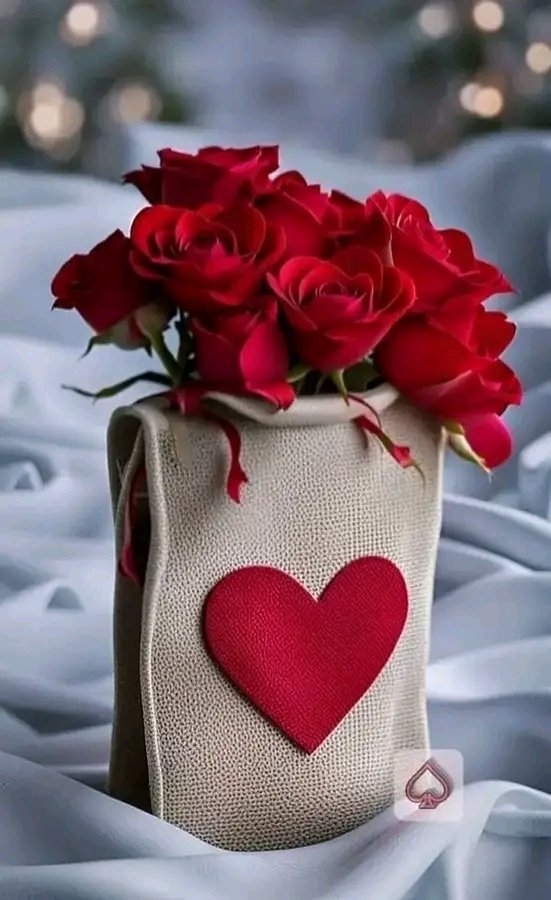 امير.2 tweet media