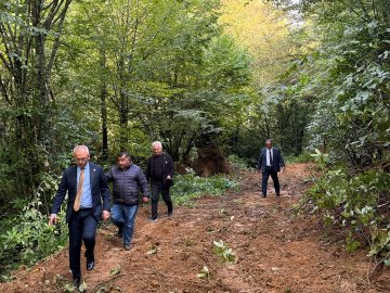 First image shows several men including one in suit gesturing near a white pickup truck in a forested area with green trees and dirt ground. Second image depicts three men in suits standing beside a green Sunward excavator on a dirt slope surrounded by trees and excavation dirt. Third image captures four men walking along a dirt path in a dense green forest with one in suit leading. Fourth image shows four men walking on a dirt trail amid green trees and foliage with one in suit holding glasses.