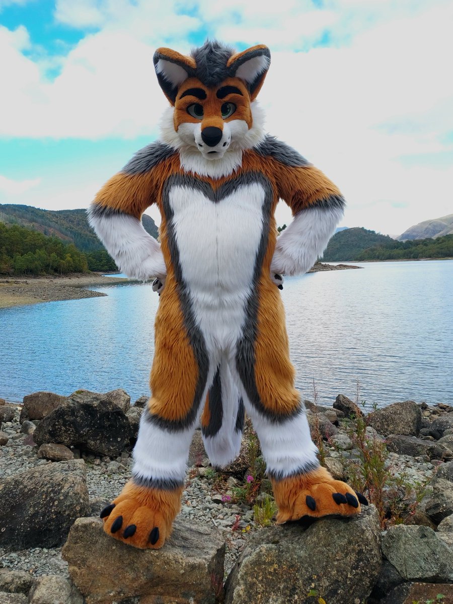 It's Tuesday and he's looking at you all expectedly 😏