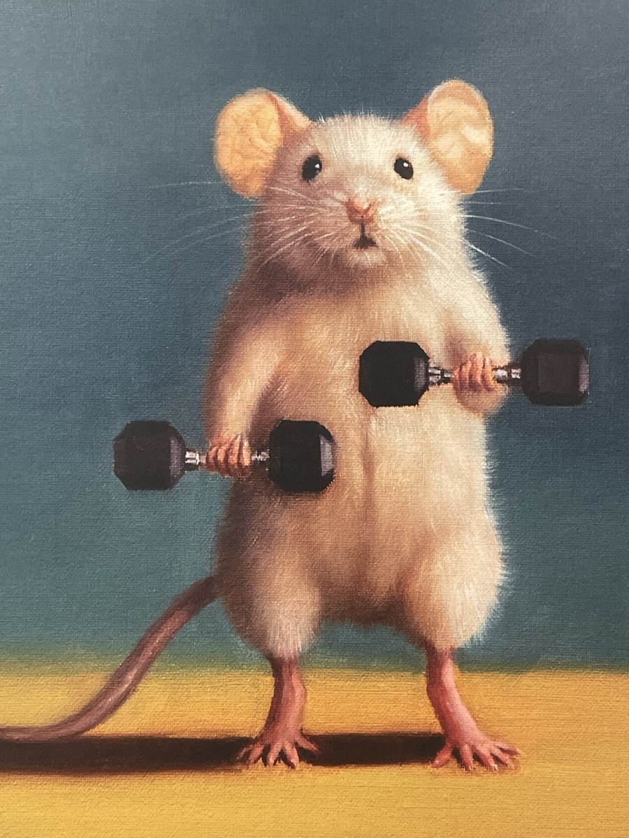 heat58459's tweet image. Us, right now! Posting 💙💚evidence, by the minute…😂🐀🐀
Best Fandom ever.💙
#LarryIsReal
#HeavyLifting
#NoMoreStunts
#AlwaysOnYourSideLouis