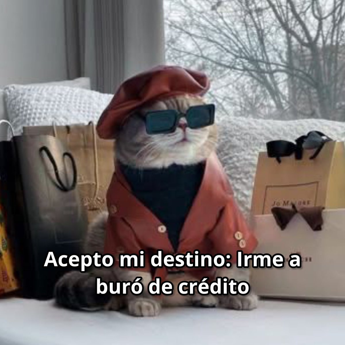 Guarromantico_'s tweet photo. Acepto 😎 https://t.co/ZZM9gMVKO6