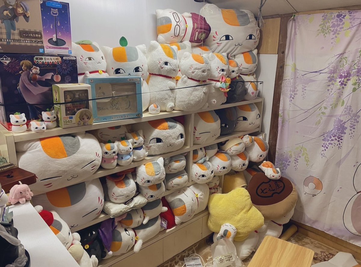 Cattail138's tweet photo. ニャンコ先生が増え始めた頃は車の中に詰め込んでたけど、
すぐに入らなくなって屋根裏部屋をニャンコ先生まみれにしてた懐かしい写真🤣 https://t.co/DVYRAxEya9