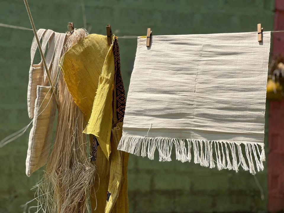 AEProgram's tweet image. Exciting news from our Urban Farming & Permaculture Learning Space, aka The Kia Garden, in Kafue, #Zambia! 🌿 Our #youth are mastering the art of #biofabrication, turning banana fibers into stylish tote bags. This innovative skill is a result of a pilot project in partnership…