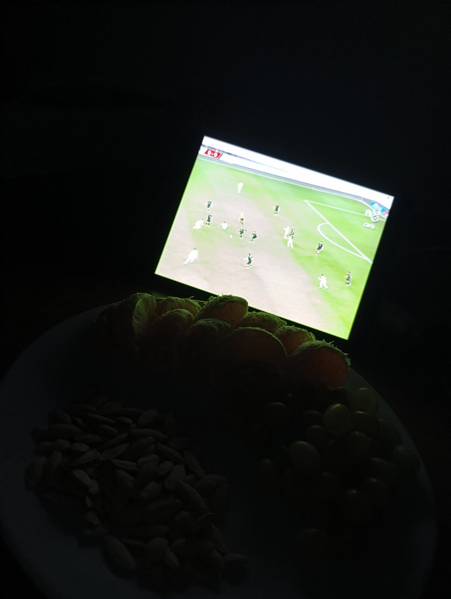 Başarılar takım Türkiye -Gürcistan