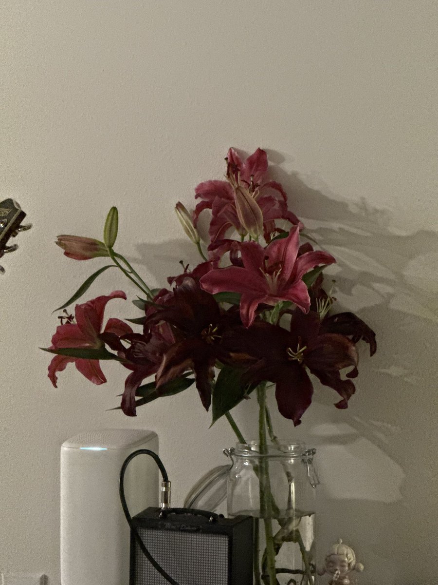 longwinter___'s tweet image. 틔타 또 오랜만이라 멘션달기 부끄럽다...