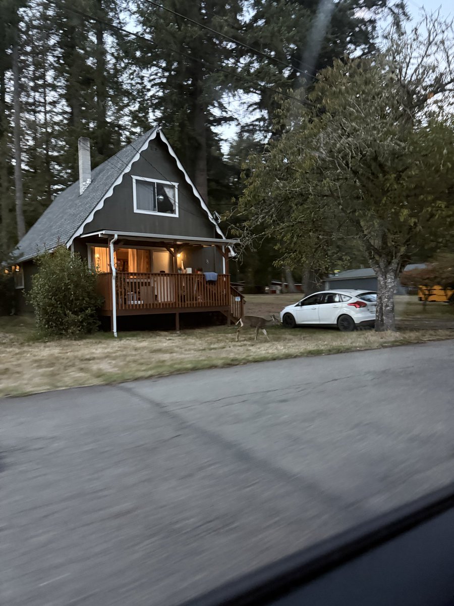 longwinter___'s tweet image. 틔타 또 오랜만이라 멘션달기 부끄럽다...