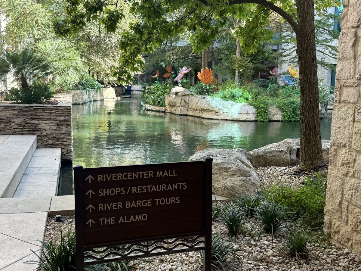 Steve Coppens tweet media