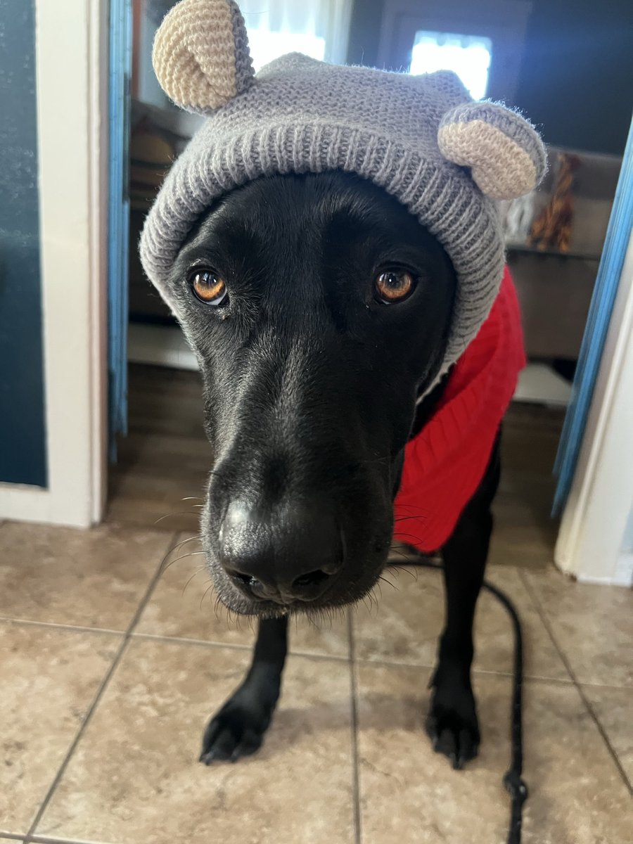 It’s sweater weather