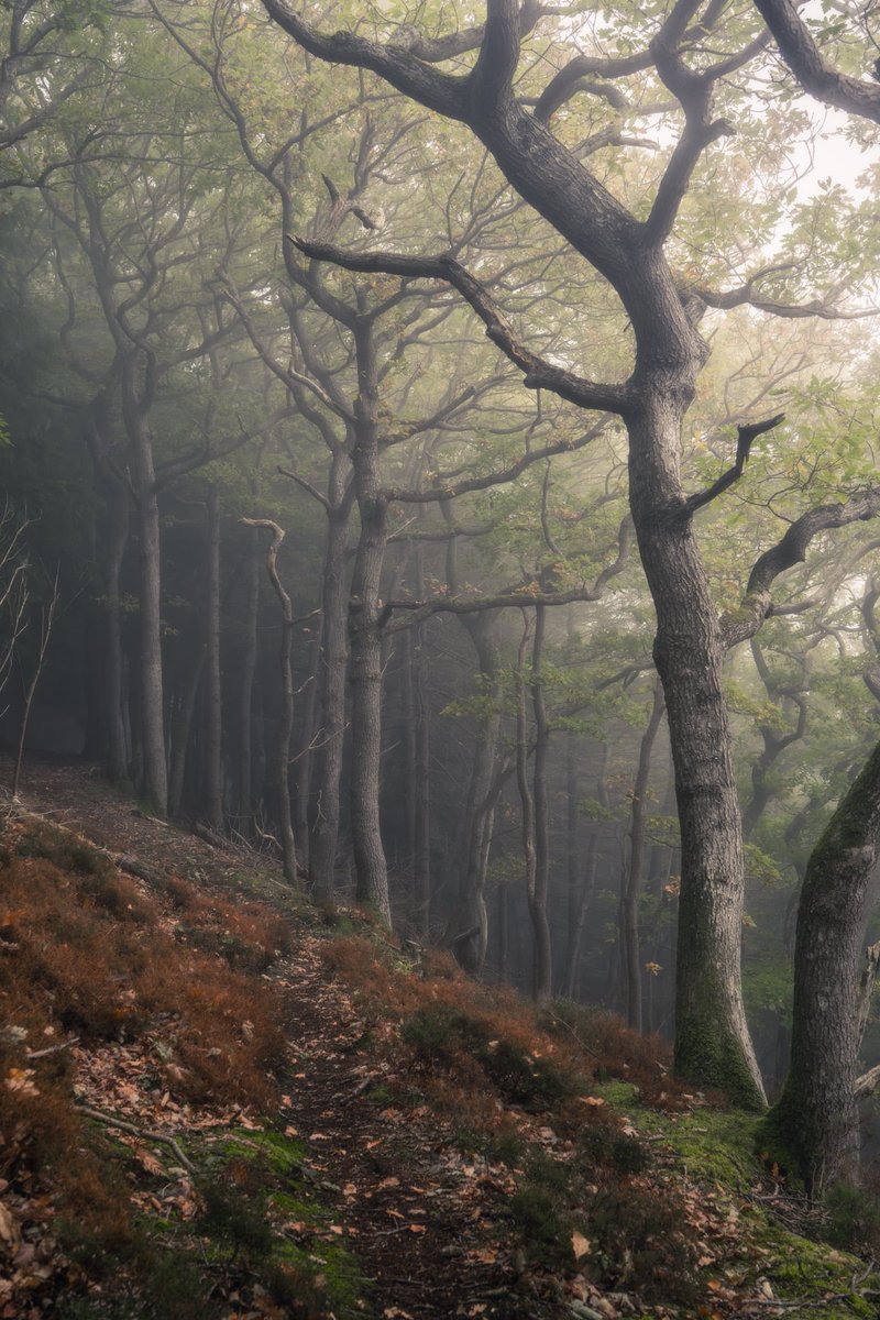Laid waste

South Shropshire

Haven’t posted here for ages, hope there’s still some landscape photography interest