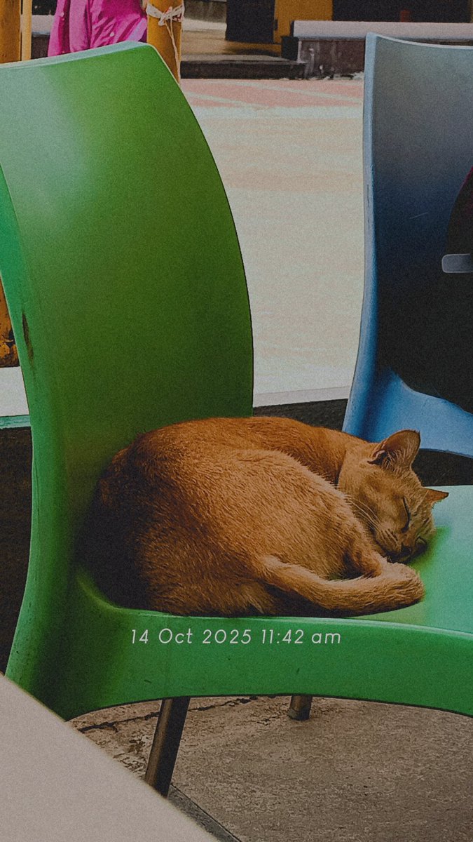 Ek aisi neend to mai bhi deserve krta hu 🐱