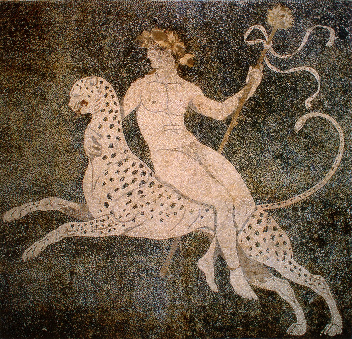ghostofhellas's tweet image. Dionysus Riding a Panther/cheetah (Mosaic), House of Dionysus, Delos. Culture: Greek. Place of origin: Delos (Cyclades). Date: Hellenistic, 2nd century BC. Medium: Mosaic (stone tesserae). Currently on view: Archaeological Site/Museum of Delos.